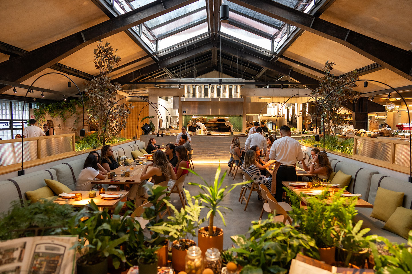 Restaurantes en Jardines del Pedregal