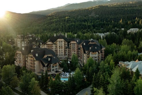 Un safari… ¿con osos? Goza el verano en Four Seasons Whistler