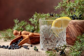 Ginebra: 7 datos curiosos sobre la bebida de moda que debes saber