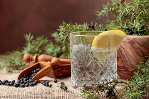 Ginebra: 7 datos curiosos sobre la bebida de moda que debes saber