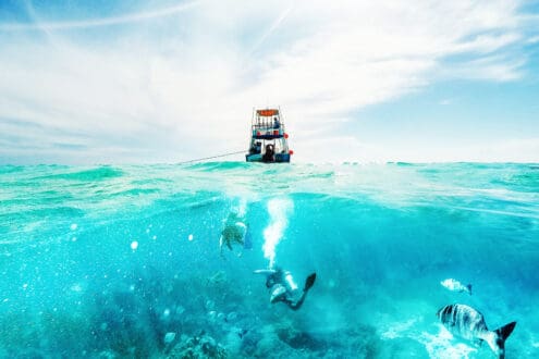 Cozumel Vivo Fest 2025: un llamado hacia el turismo regenerativo