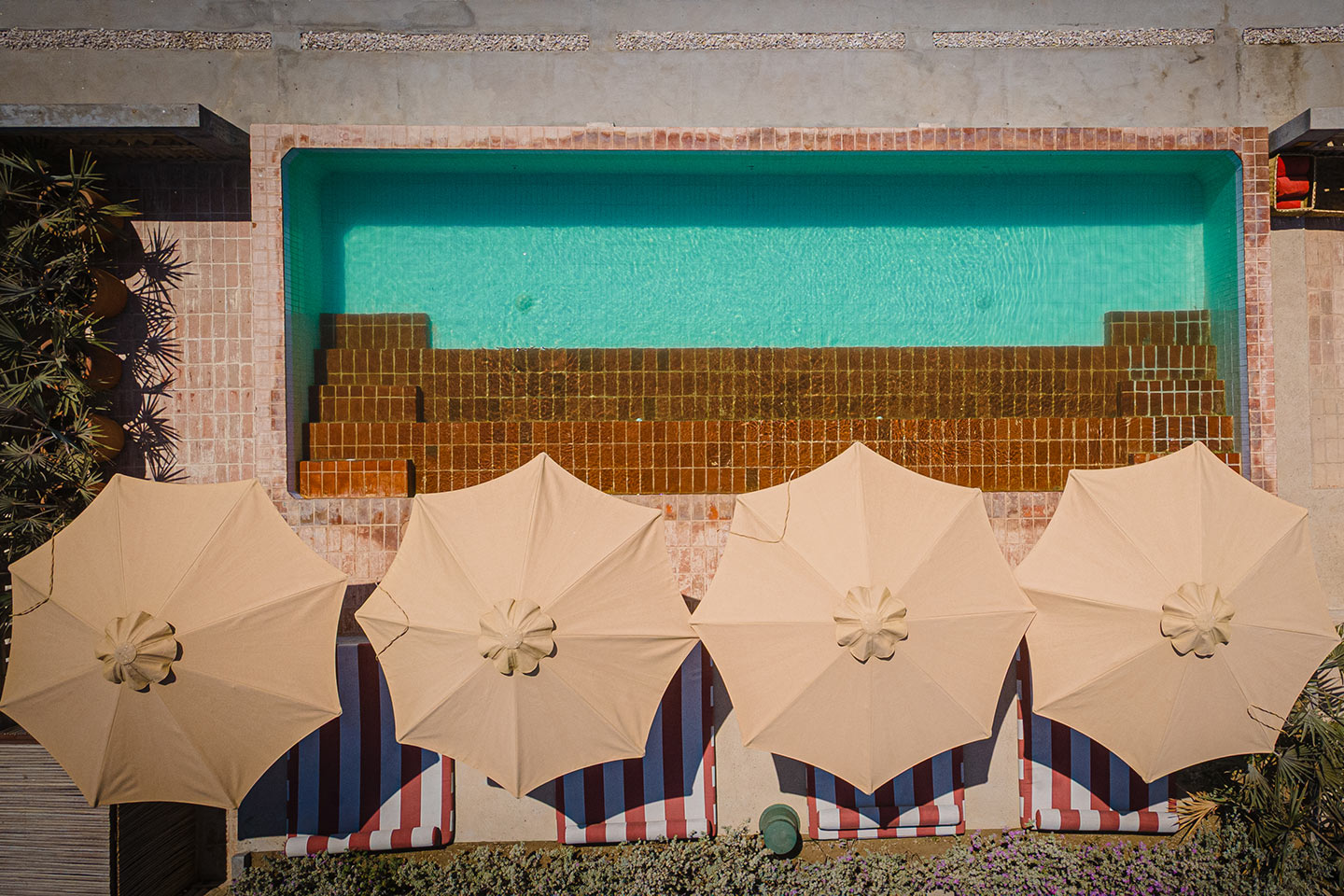 Hoteles y vacaciones en Puerto Escondido