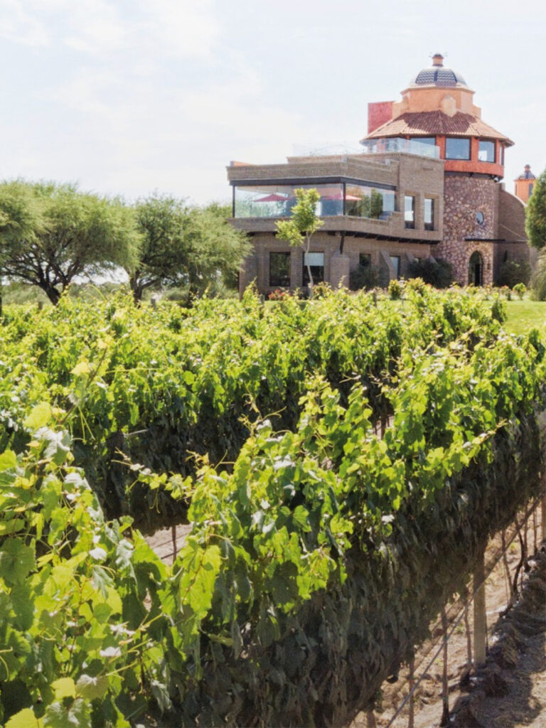 viñedo San Miguel de Allende, Hacienda San José Lavista