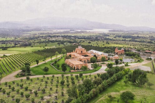 ¿Tour por los viñedos de San Miguel de Allende? Empieza por este