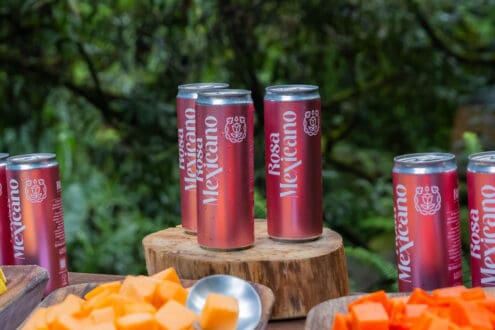 ¡Prueba el nuevo Monte Xanic Rosé en lata! Un vino orgánico, vegano y sin protocolos