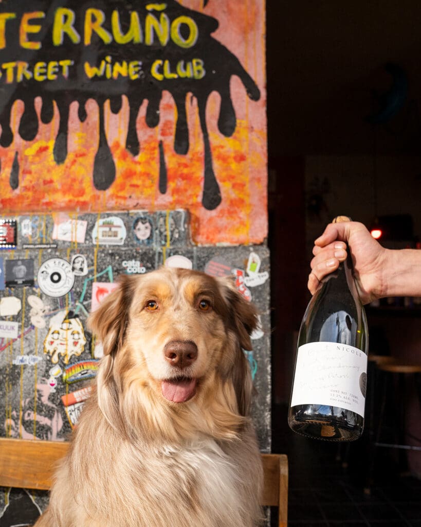 Terruño Wine Bar