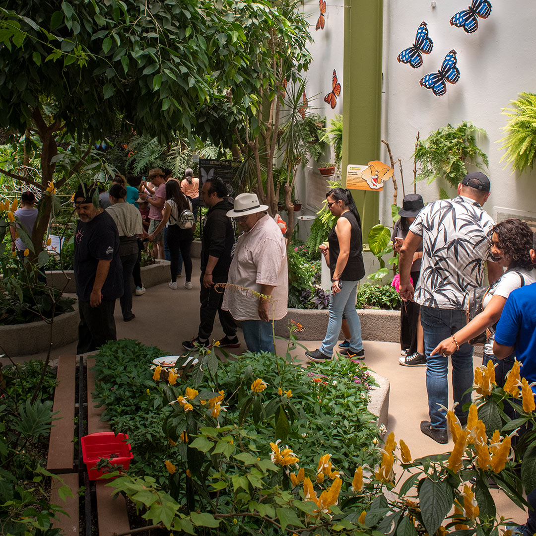 actividades en junio