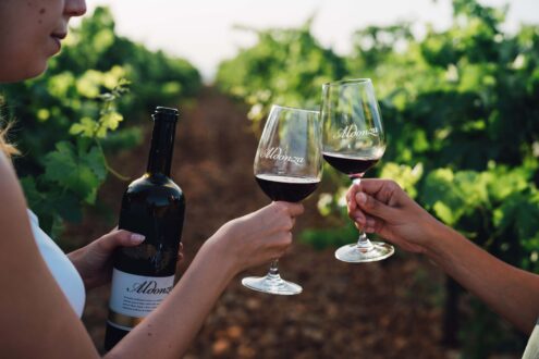 Aldonza Gourmet: sabores premium desde el corazón de La Mancha