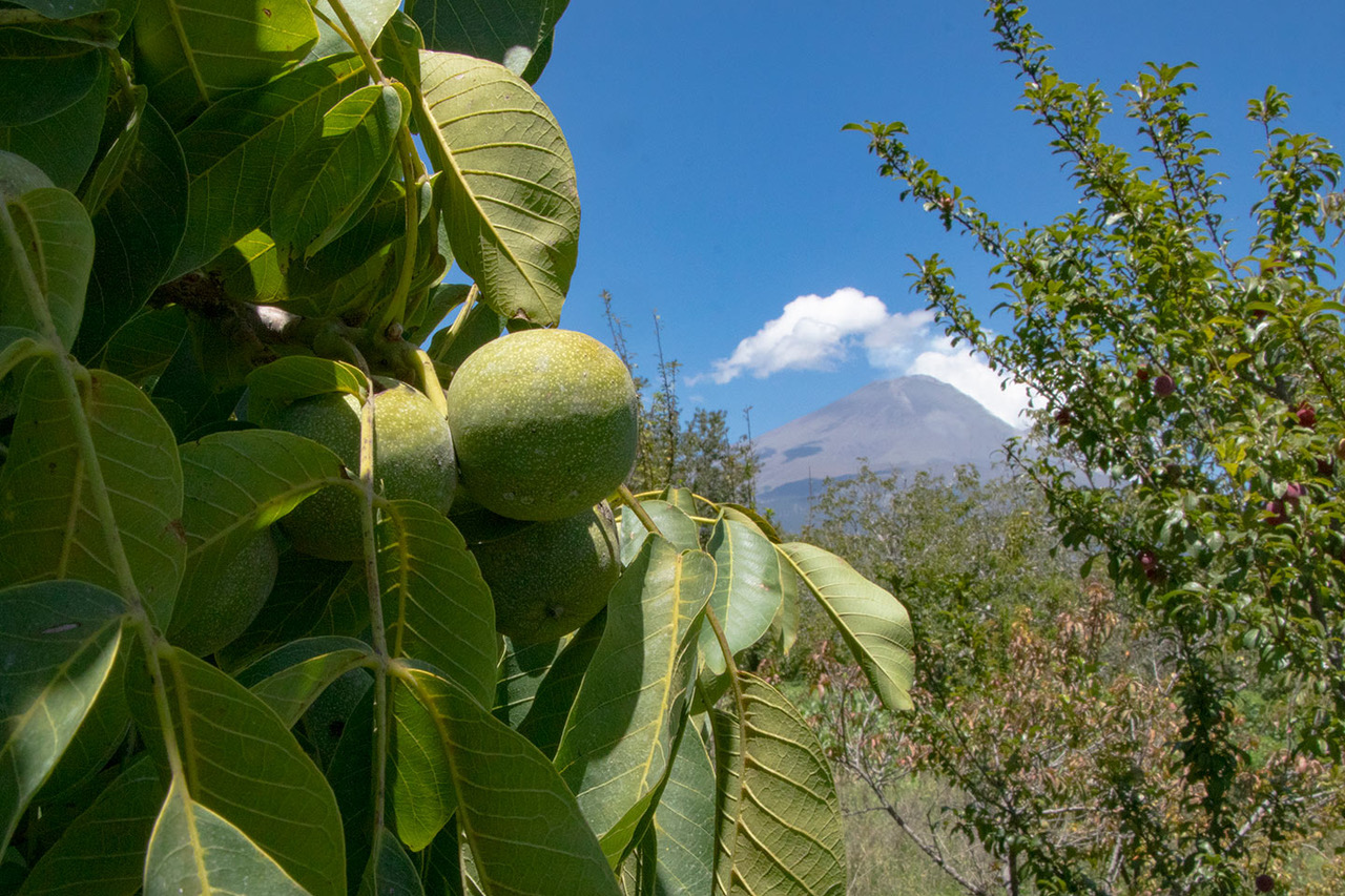 gastronomía poblana cuetzalan