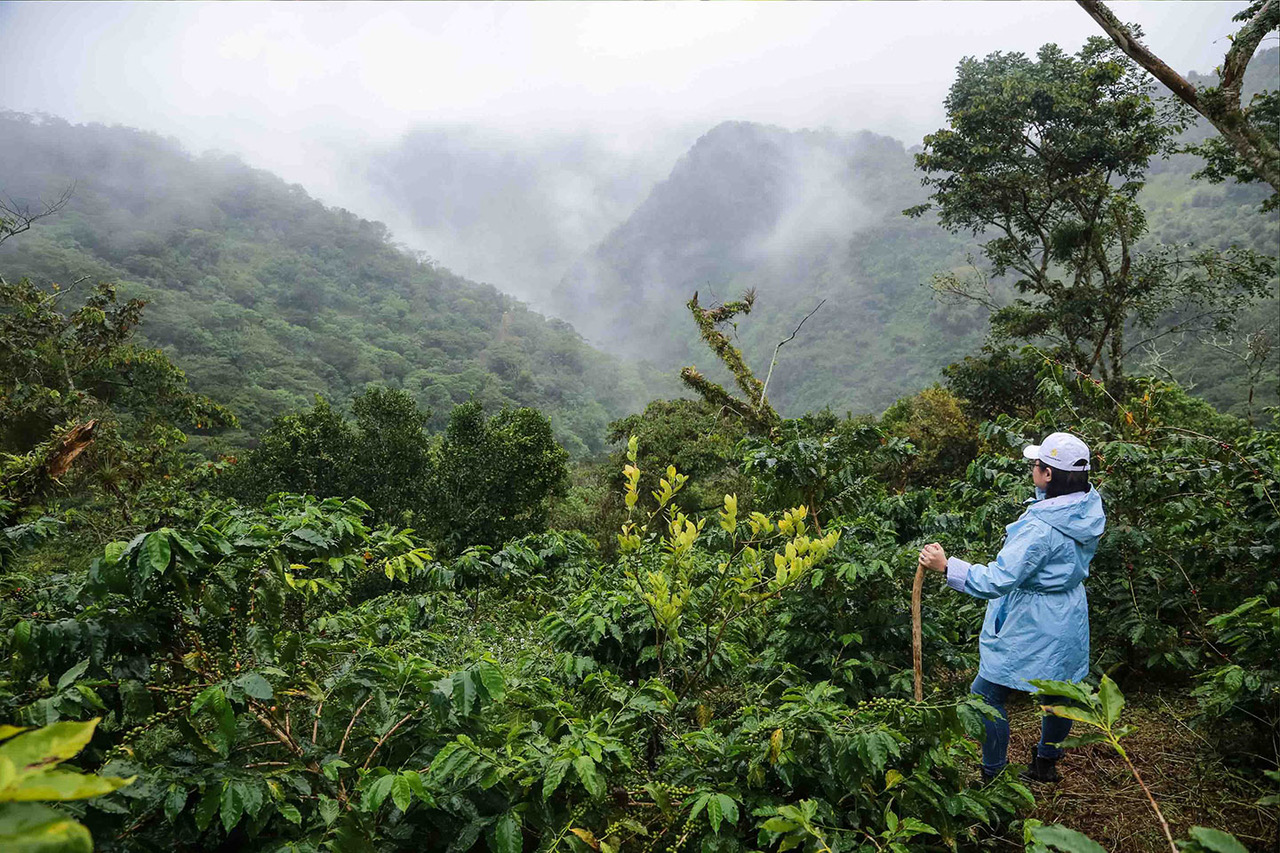 gastronomía poblana ecoturismo