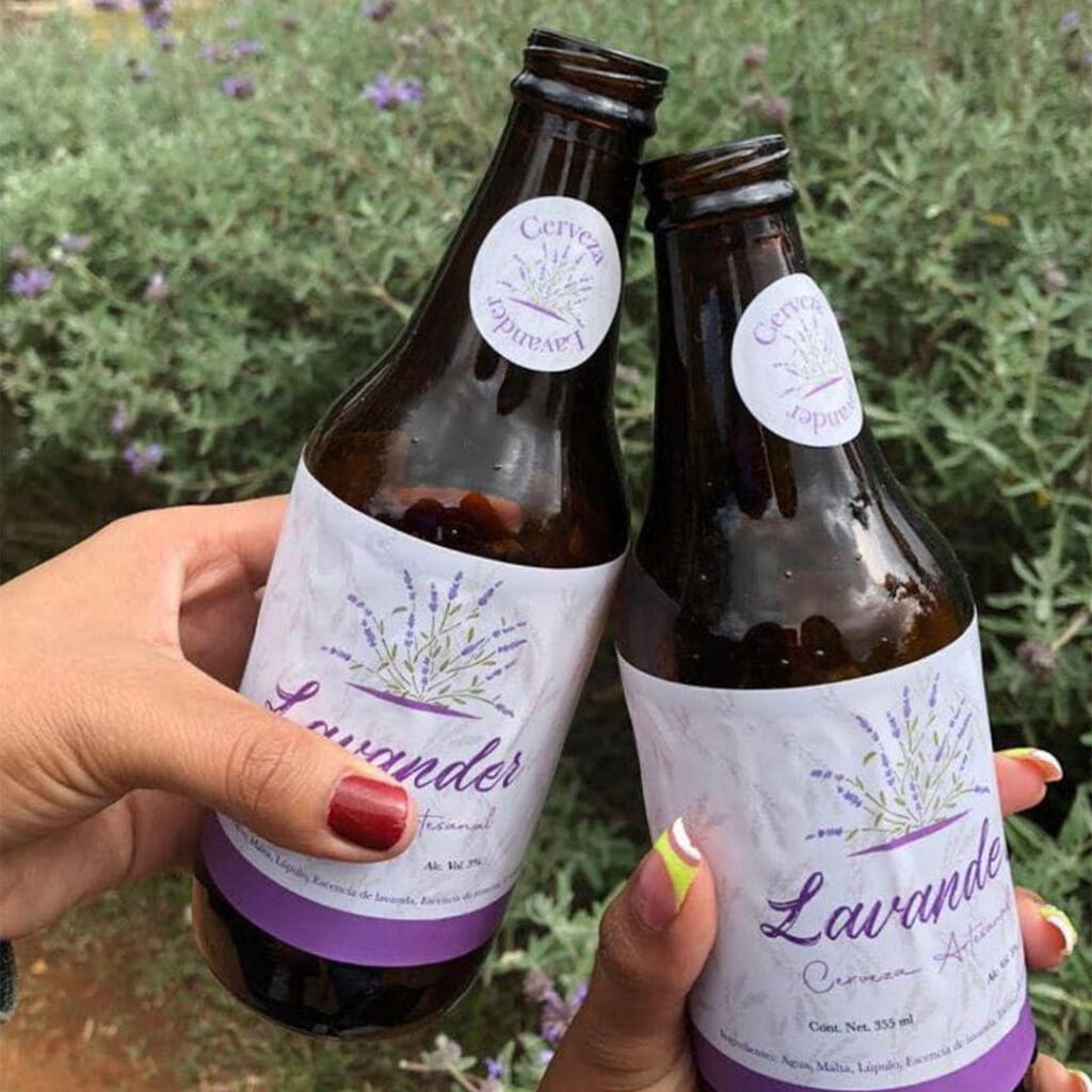 Campos de lavanda en México: Rancho Pozos
