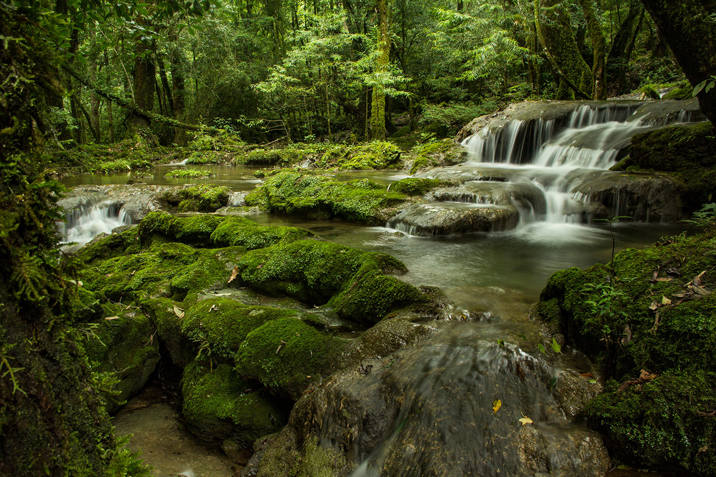 cascadas bonitas de México