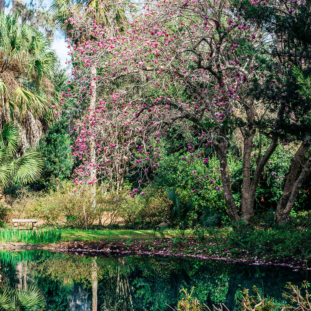 ciudades florida