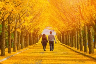 Yellow Day 2025: el día más feliz del año en destinos amarillos