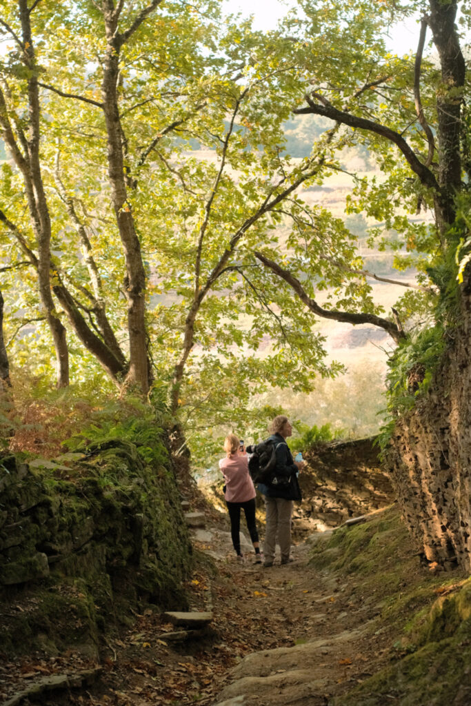 Camino de Santiago Francés en Galicia