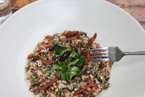 Los Danzantes Coyoacán: 30 años de sabor y cocina consciente