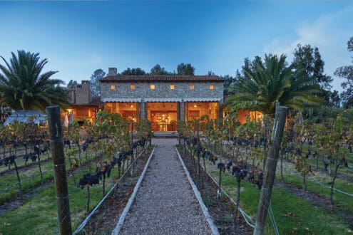 Vendimias 2025 en Guanajuato: apunta las fechas y prepárate para brindar