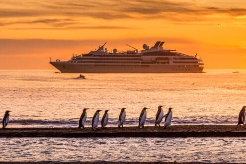 Ponant, el crucero que lleva a lo más remoto del Ártico y la Antártida