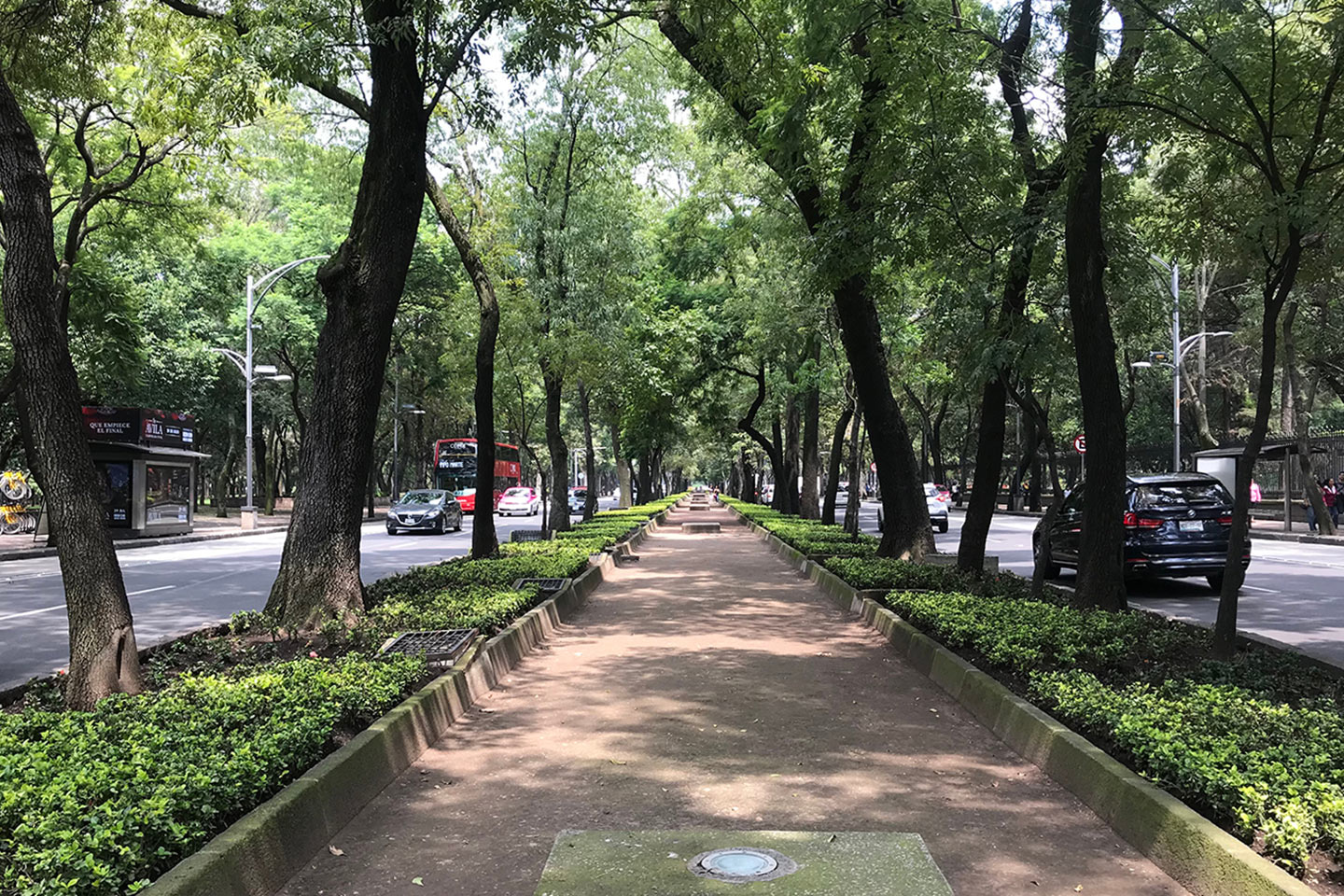 lugares para correr en CDMX