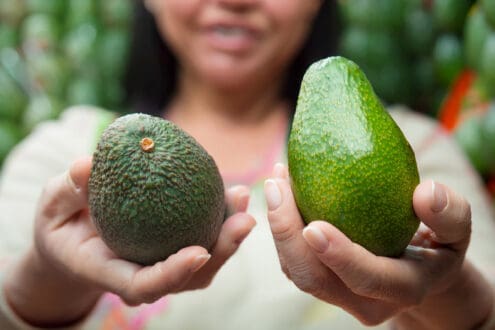 ¿Aguacate o palta? El debate que va más allá del nombre