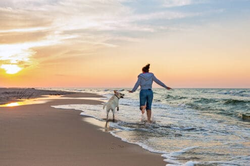 ¡5 playas dog friendly en México! El mejor plan para este verano