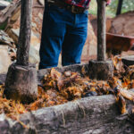 ¿De dónde viene el tequila? 6 datos sobre esta bebida mexicana