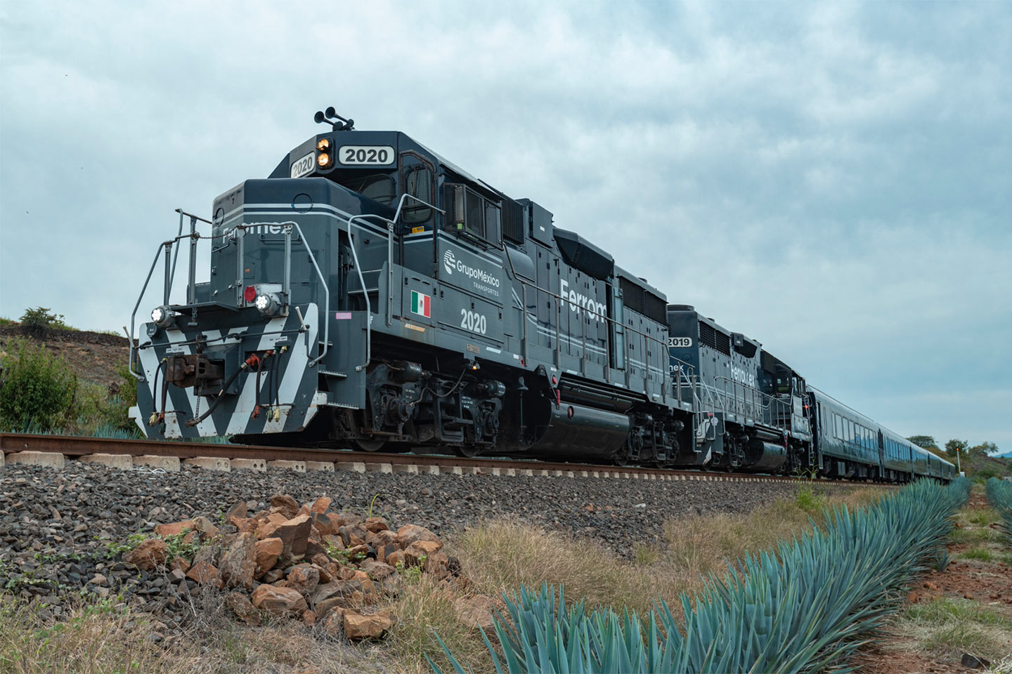 Tren Tequila Express