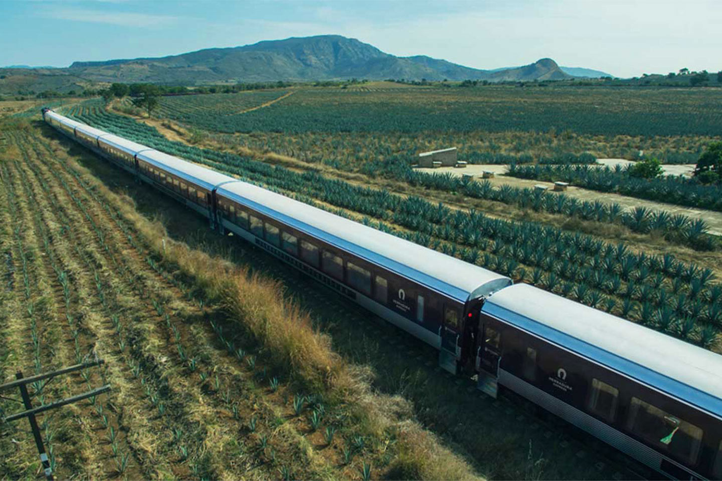 tren a tequila Herradura Express