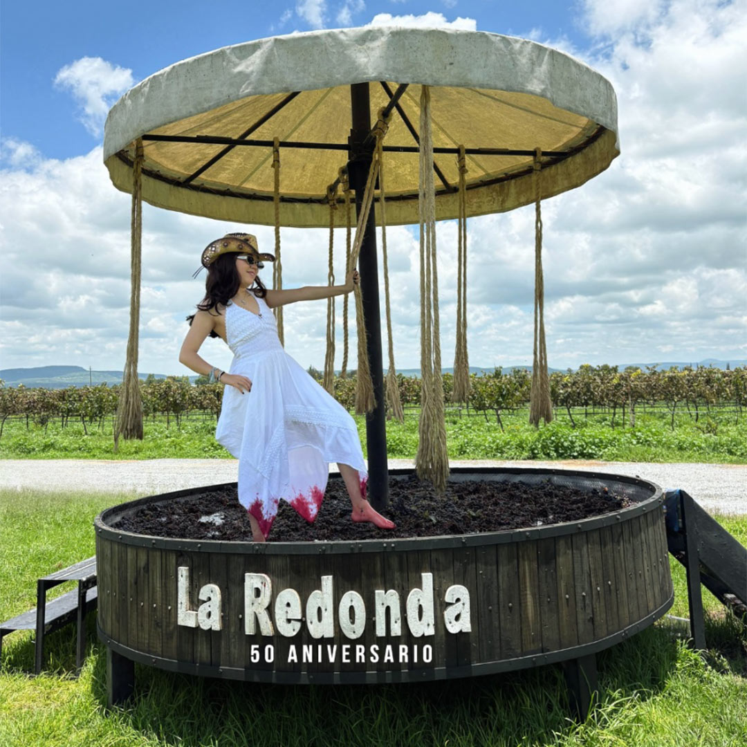 viñedos en Querétaro La Redonda