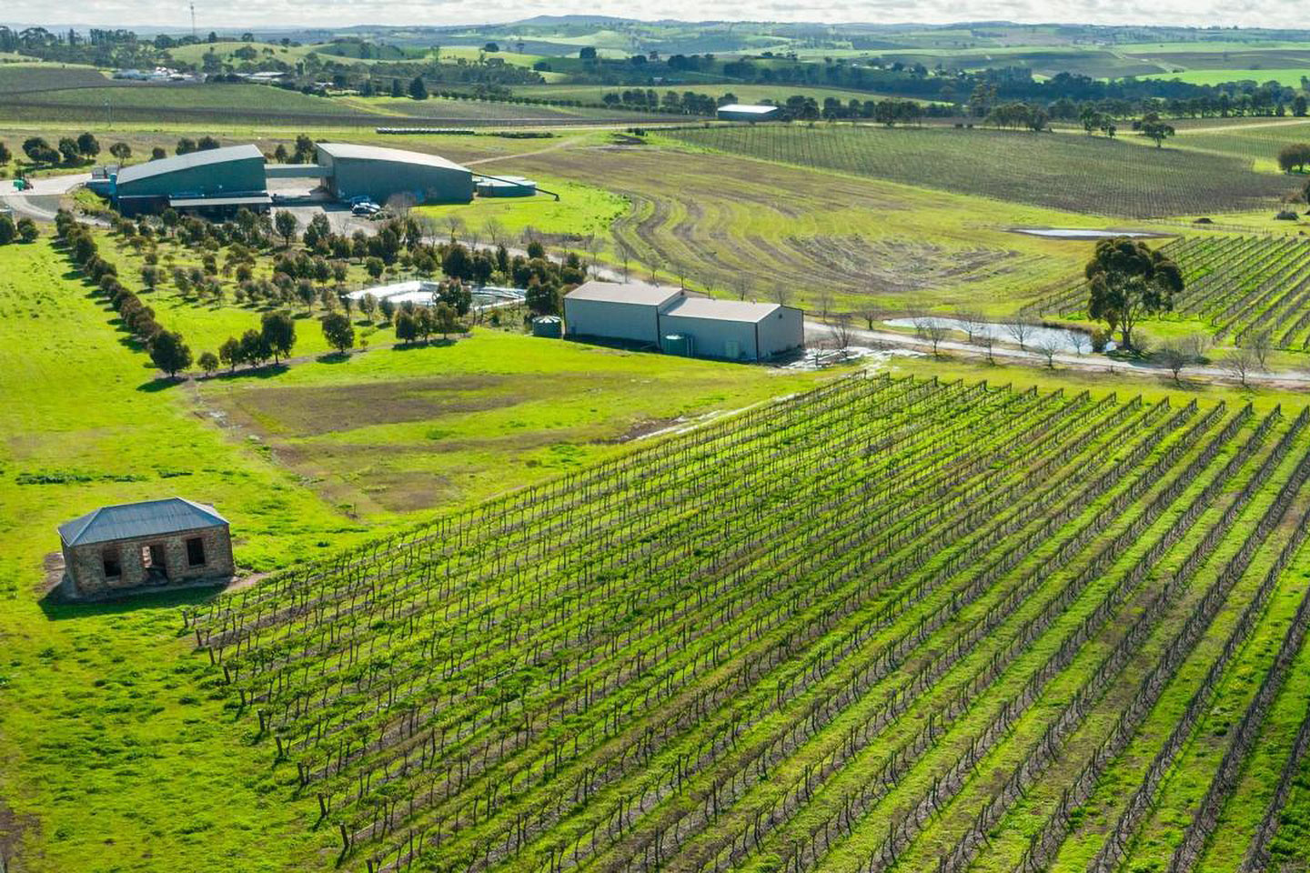 Vinos australianos
