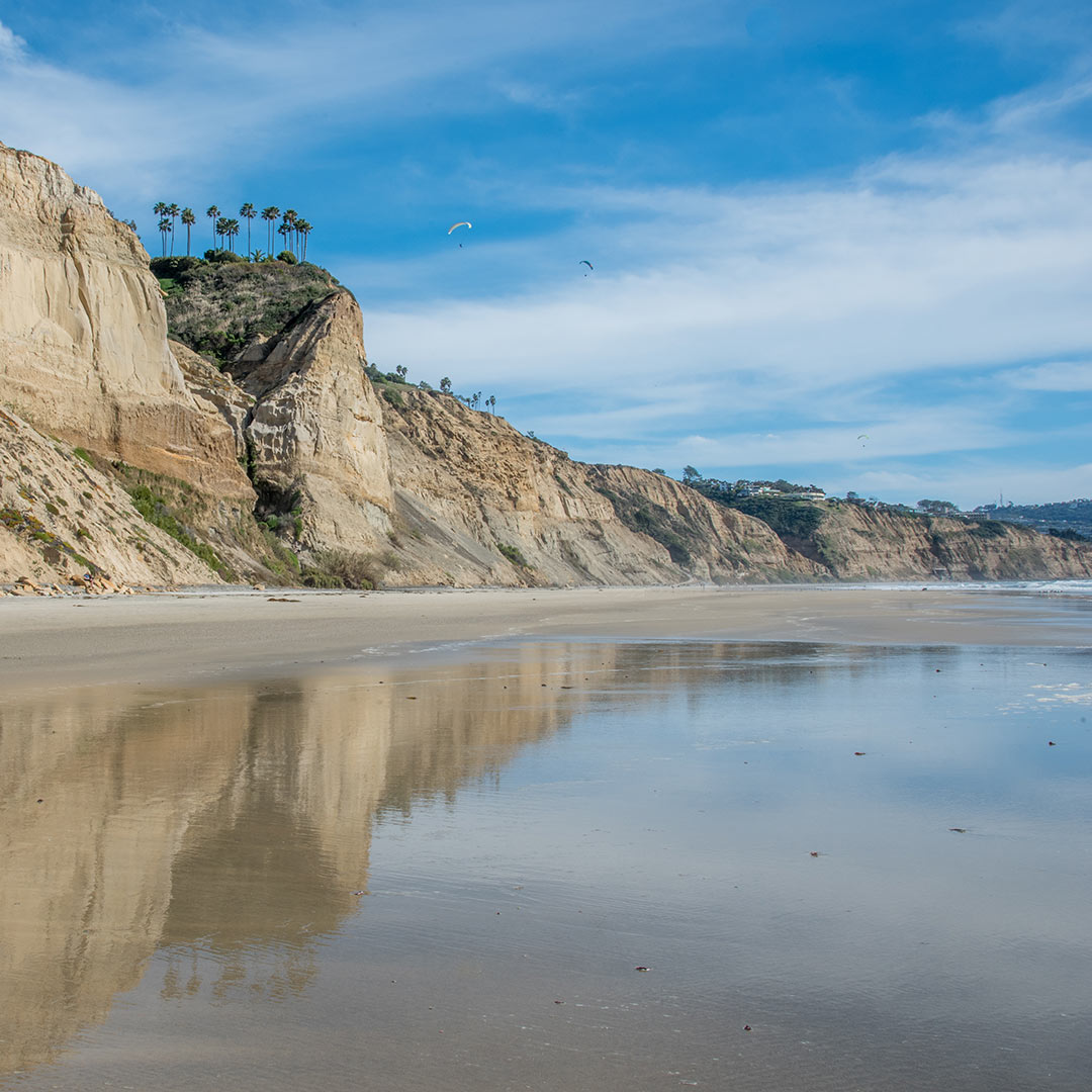 Playas nudistas en el mundo Black’s_Beach_California