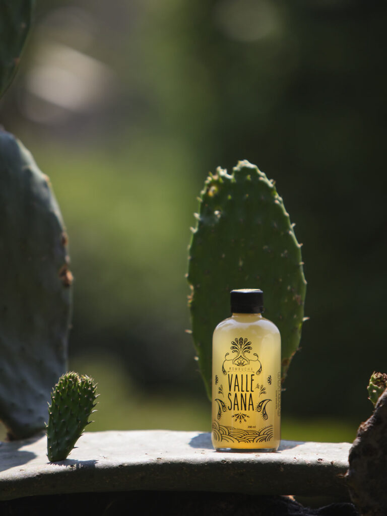 Kombucha artesanal de ValleSana