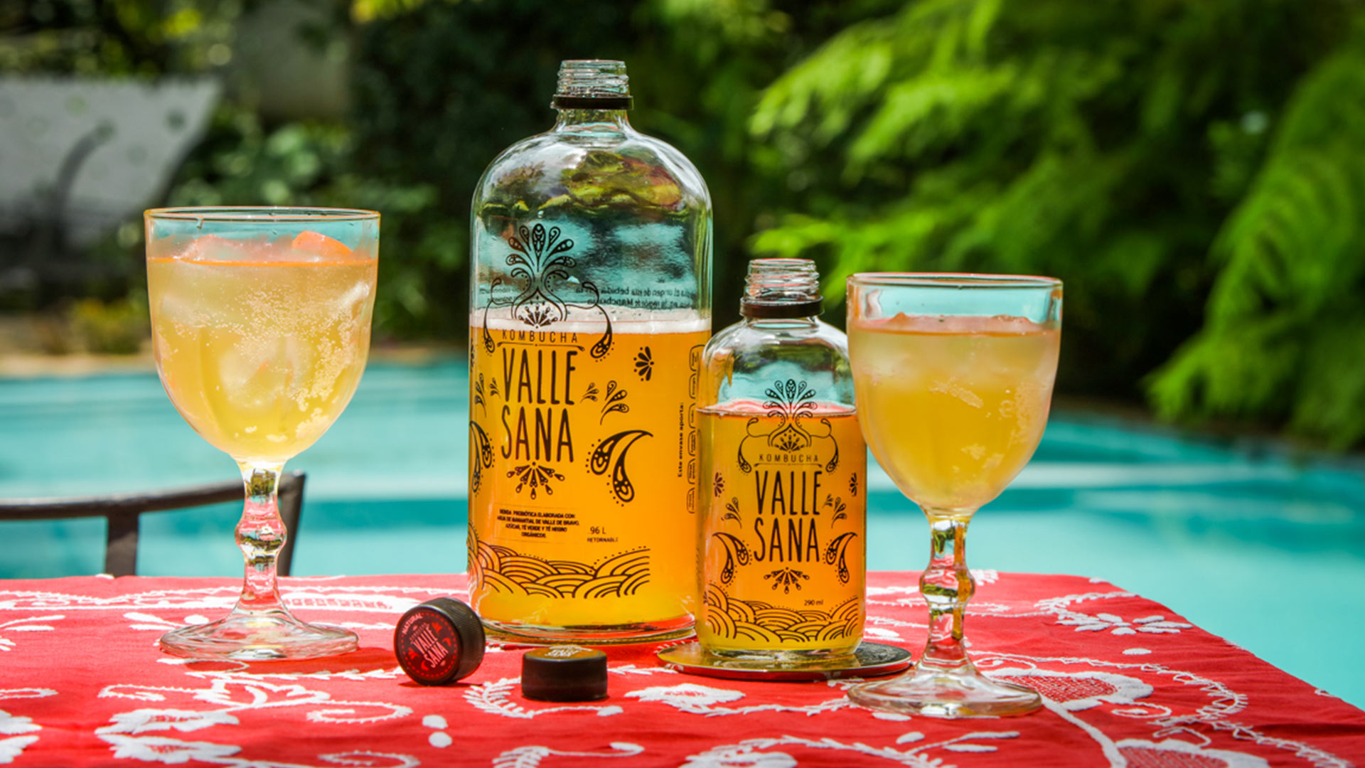 Kombucha artesanal de ValleSana