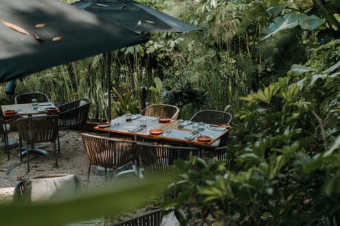 Esta cena celebrará la cocina tradicional indígena en Tepoztlán