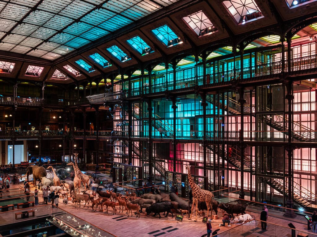 Museos de París: Museo Nacional de Historia Natural