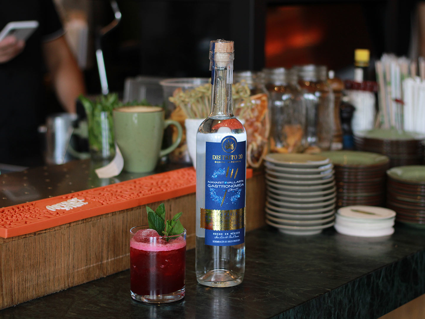 Vallarta Nayarit Gastronómica