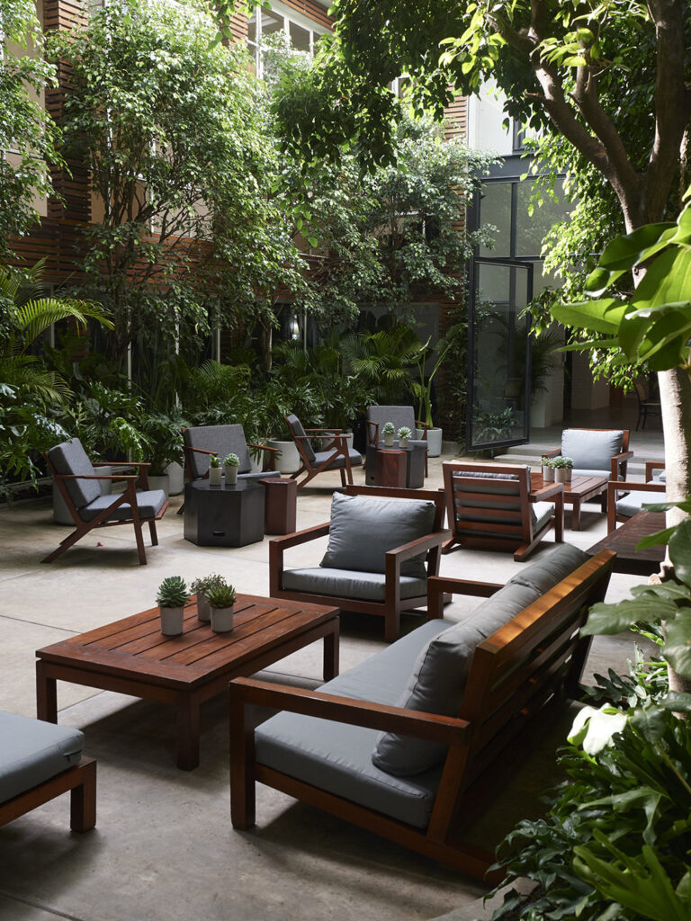 restaurante Pánuco 36