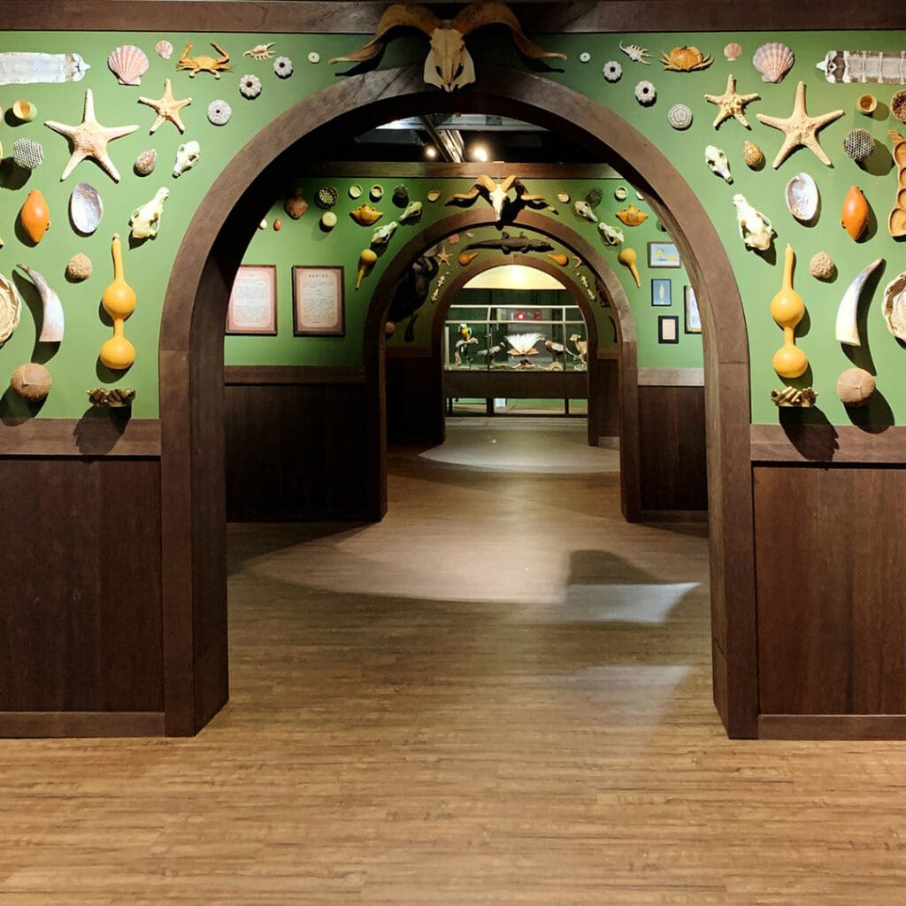 Museos de bebidas en el mundo