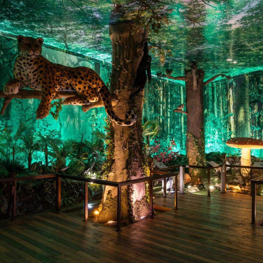 museos para niños en cdmx Yancuic