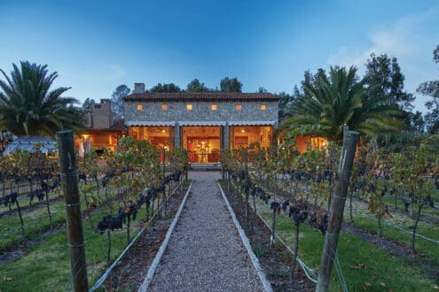 Novedades en Guanajuato: ¡más motivos turísticos para regresar!