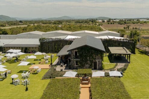 Viñedos en Puebla: 3 lugares imperdibles para disfrutar su vino