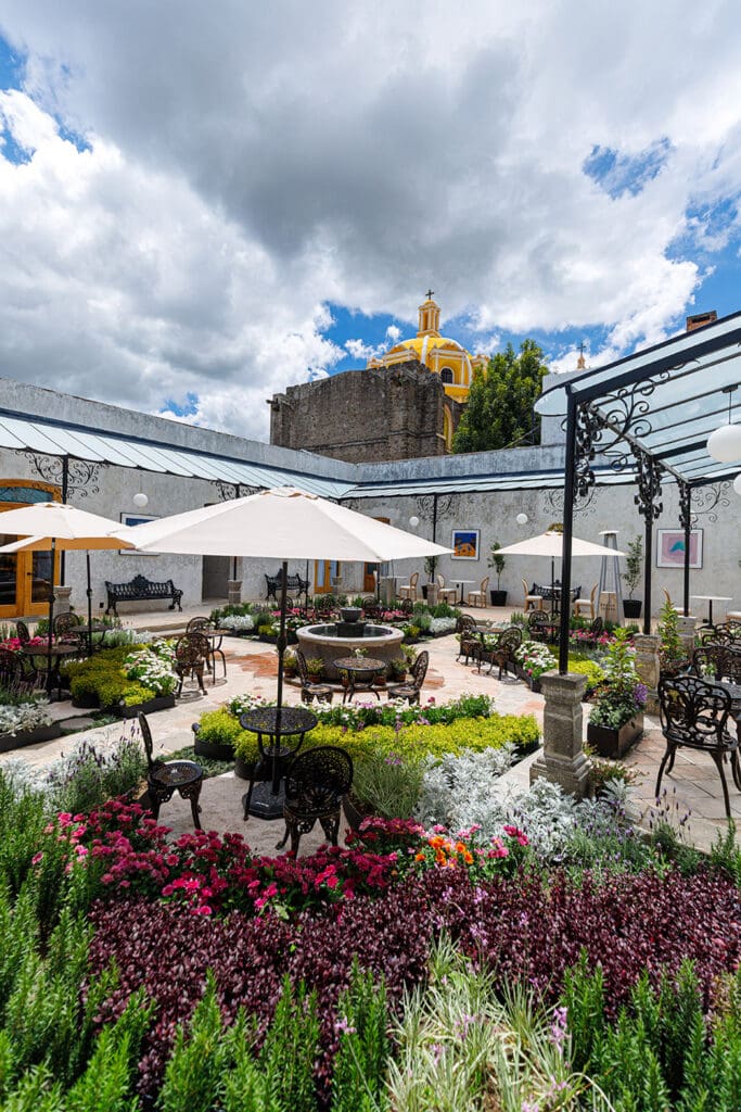 Temporada de hongos en Tlaxcala