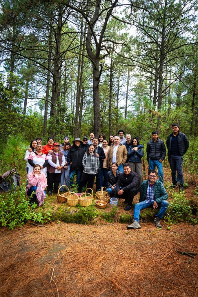 Temporada de hongos en Tlaxcala