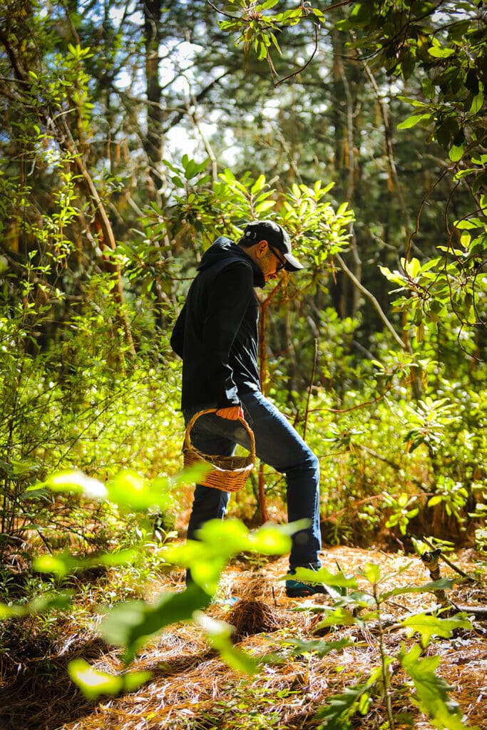 Temporada de hongos en Tlaxcala