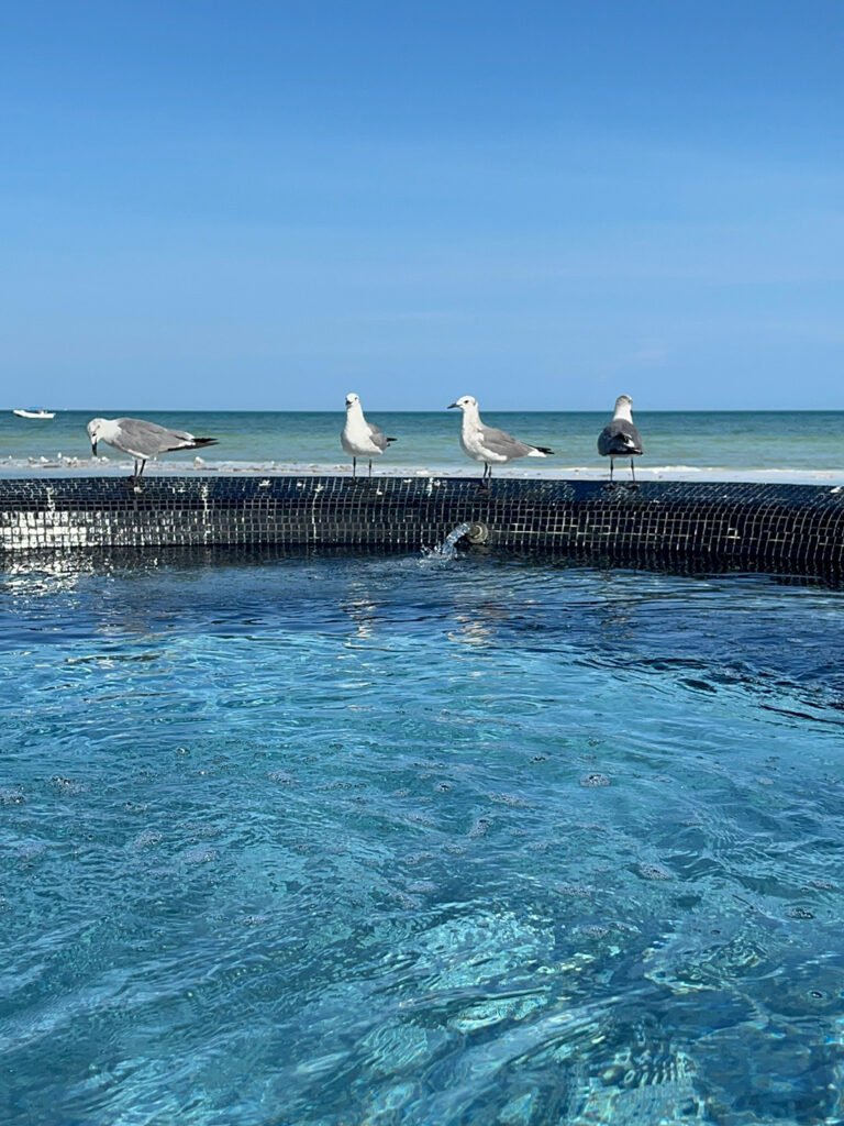 Villas Flamingos, hotel en Holbox