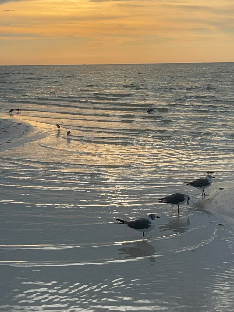 Villas Flamingos, hotel en Holbox