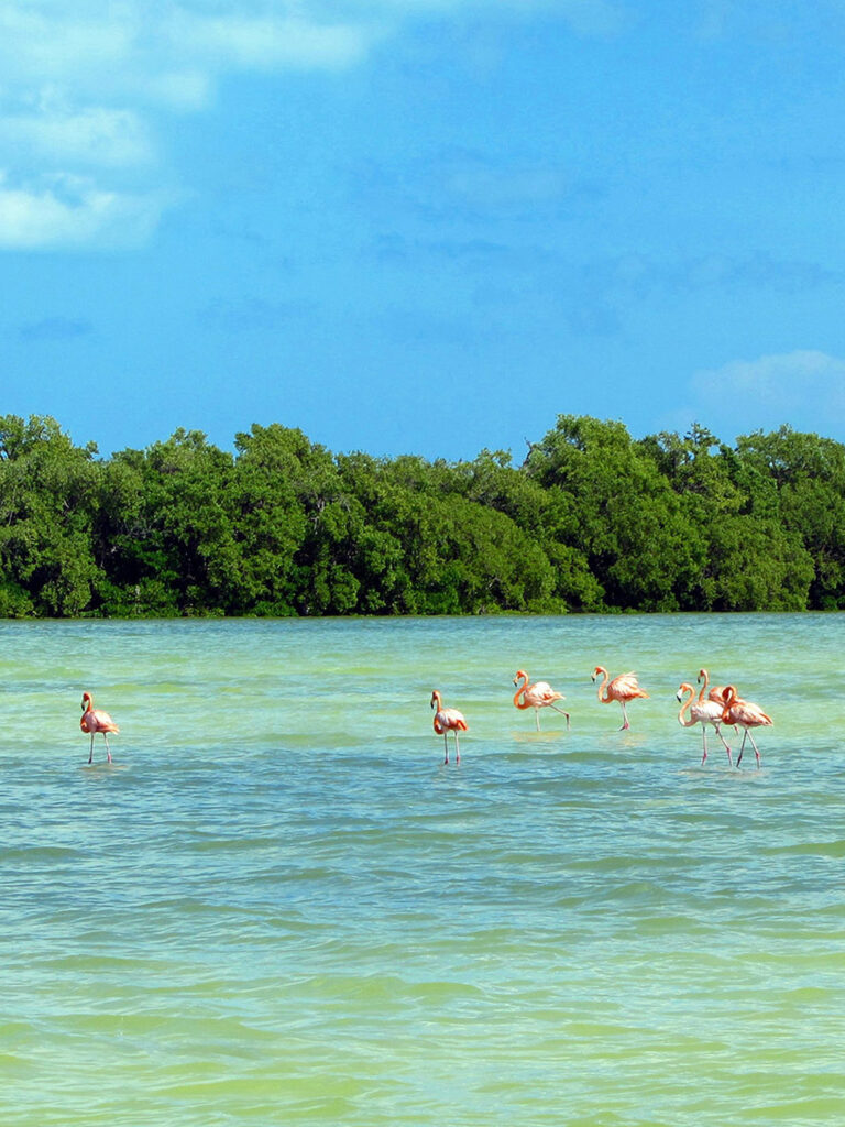 Villas Flamingos, hotel en Holbox