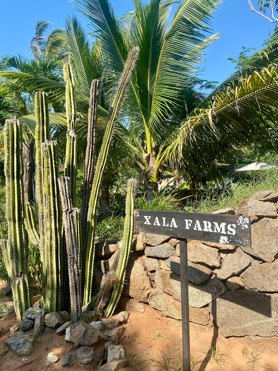 turismo regenerativo Xala