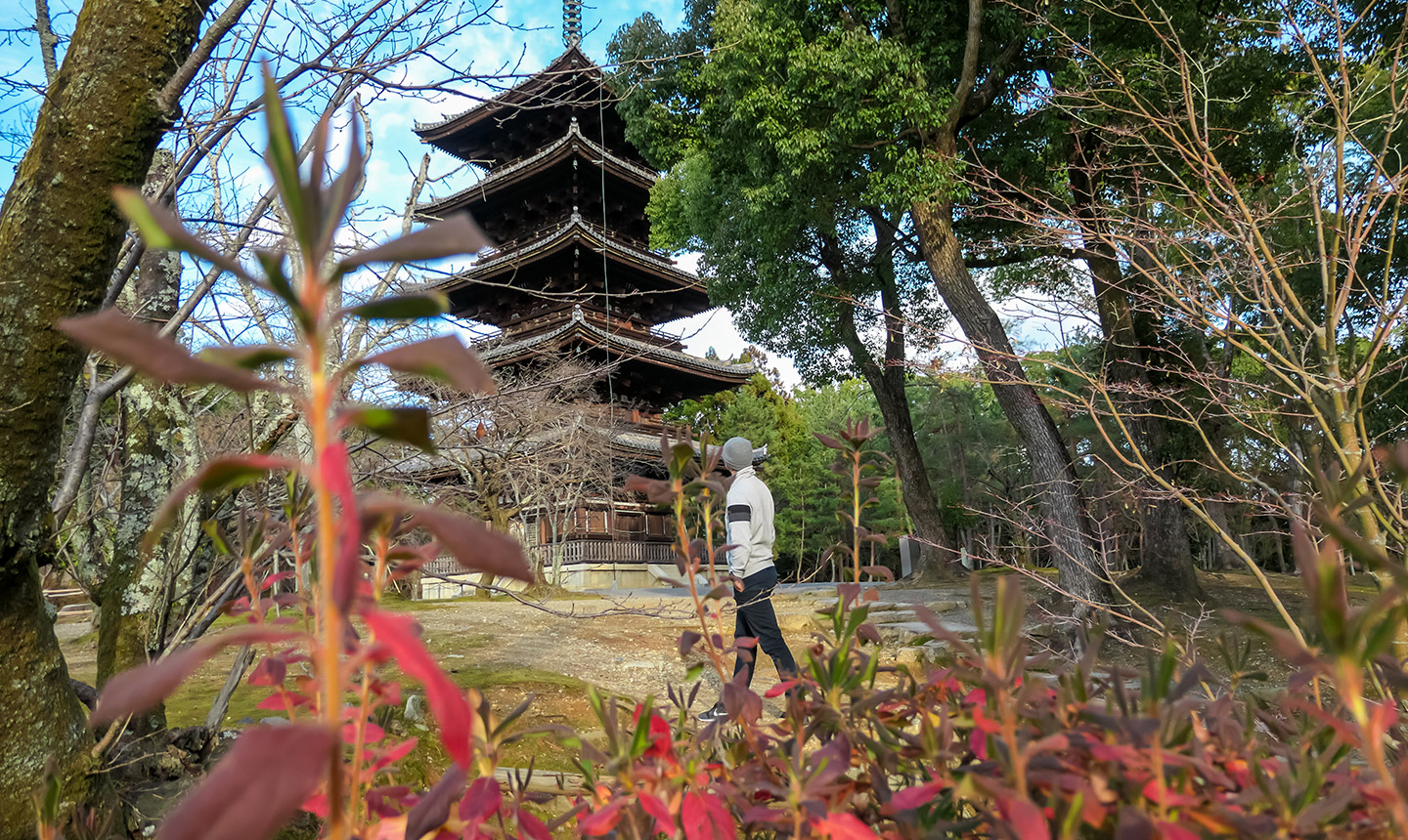 Caminar por Kyoto es sumergirse en un mundo donde la historia y la naturaleza se entrelazan en cada paso.