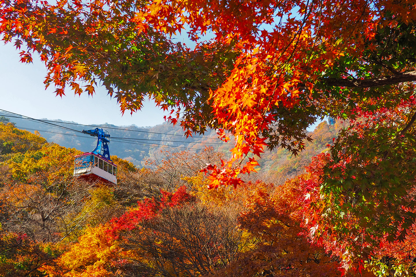 En otoño, los bosques del Parque Nacional Seoraksan, en la provincia de Gangwon, se transforman en un espectáculo de colores vibrantes.